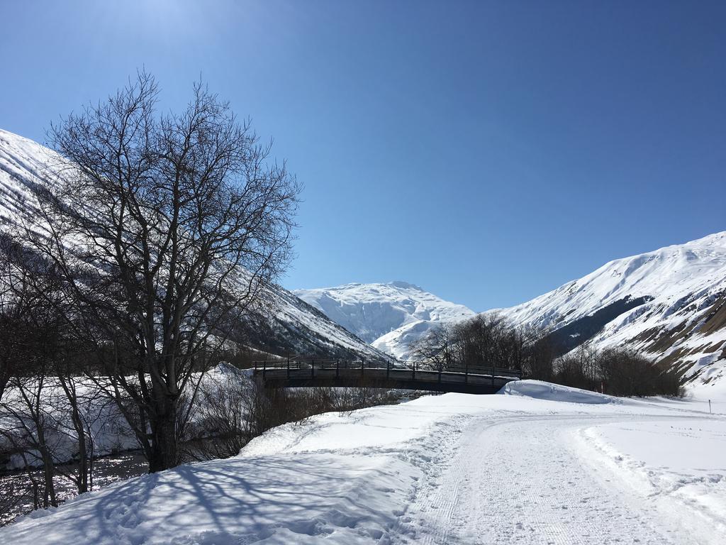 Bnb Bellavista Apartment Andermatt Exterior foto